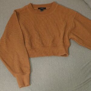Forever 21 Cropped Fall Sweater